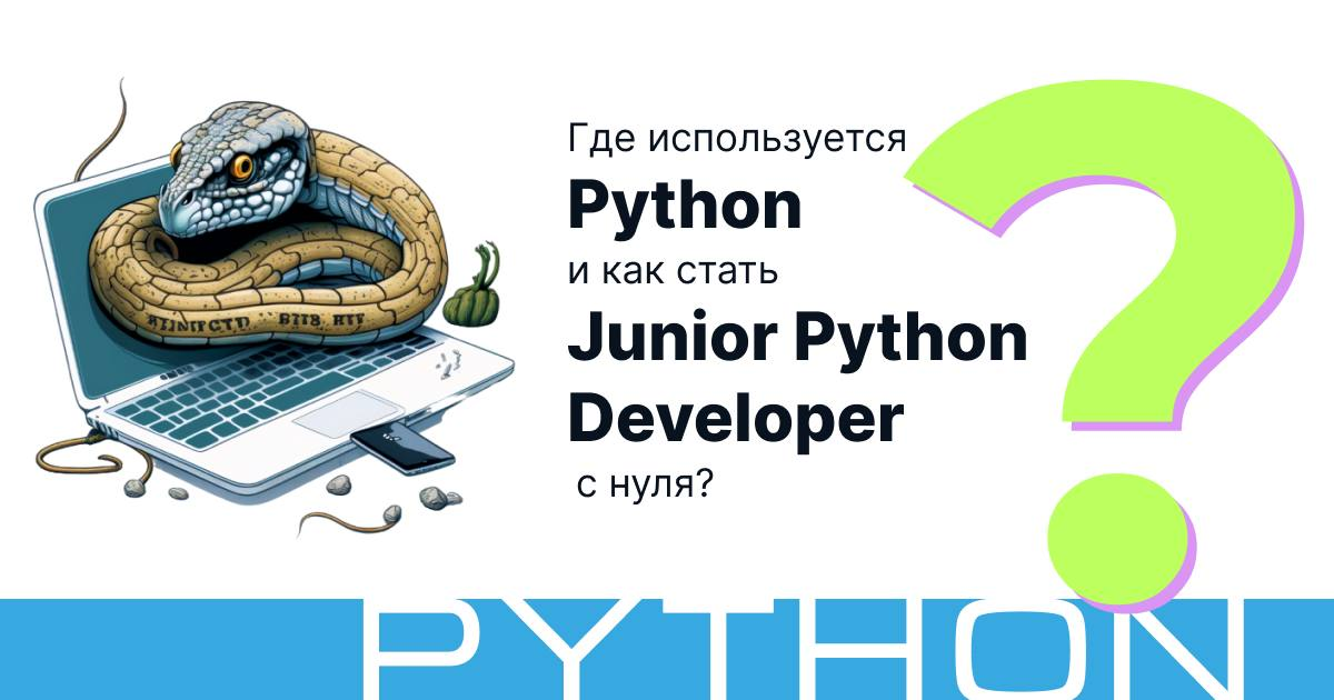  Python Junior-  2017