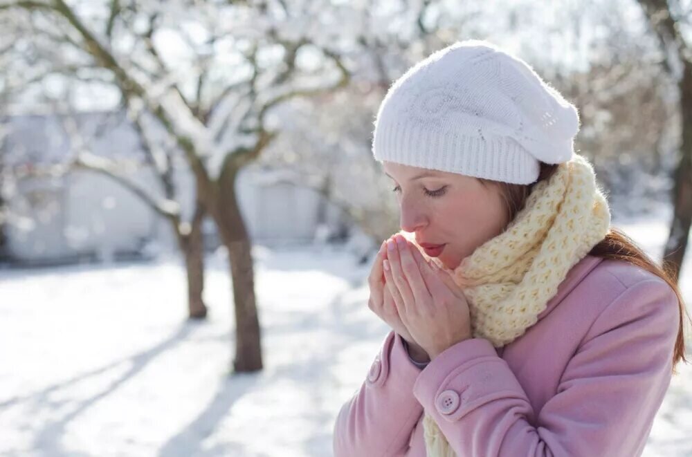 Фото из материала Яндекс