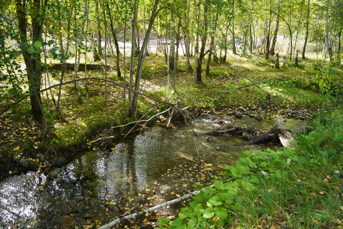 Фото из фотоархива Нагорного Алексея и Светлой Лилии 