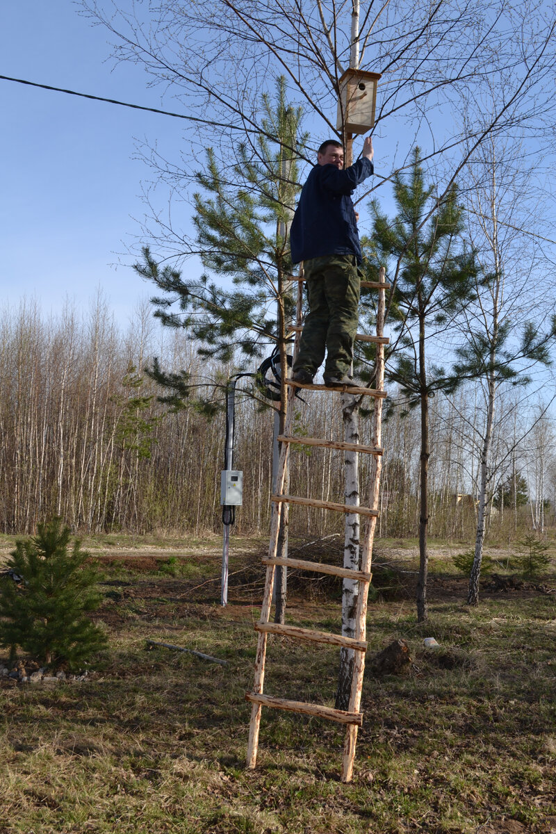 Торжественное открытие птичьего дома. Из архива Елены Романовой