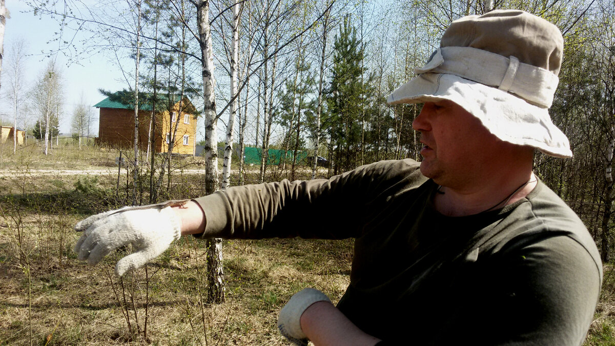 Хозяйка пришла! Из архива Елены Романовой