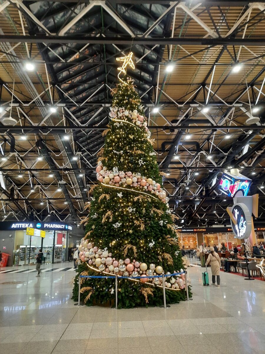 Ёлочка в Шереметьево