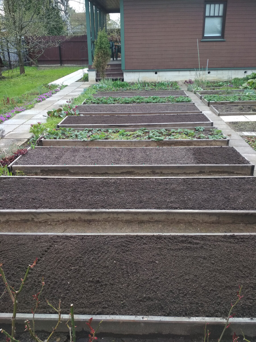 Компост на грядках. 