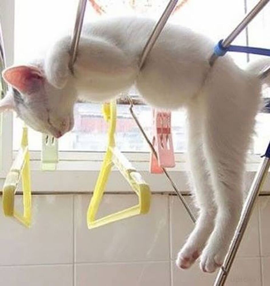 Крючок как средство подвешивания объектов;
♦
