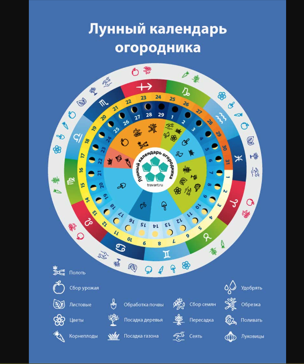 Праздники лунного календаря