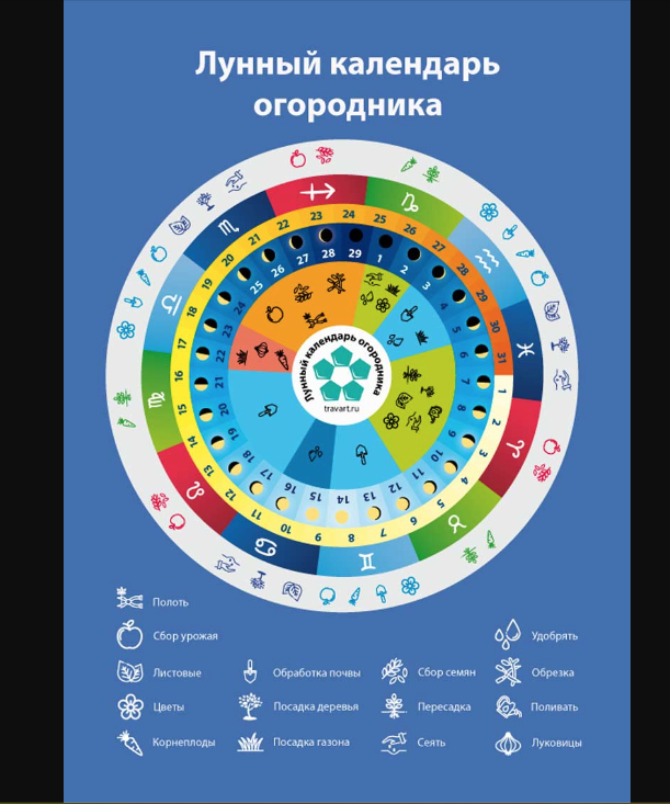 Лунный все года. Лунный календарь. Лунный календарь круглый. Лунный календарь картинки. Лунный календарь схема.