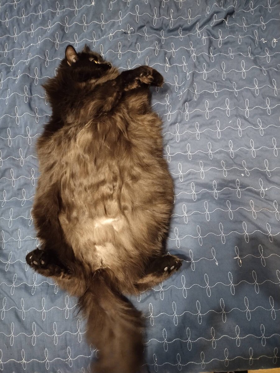 Очень черная отдыхающая тучка