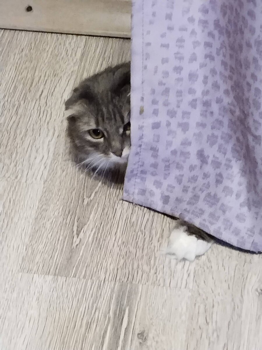 Жду фотографий!!!