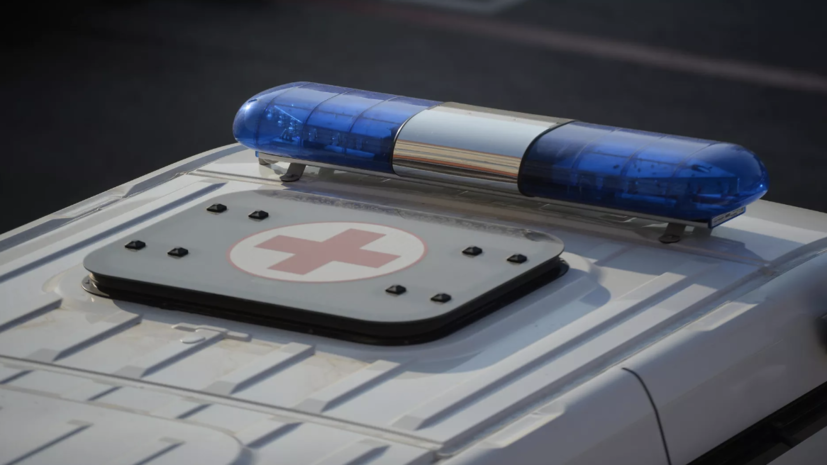    РИА Новости / Павел Лисицын