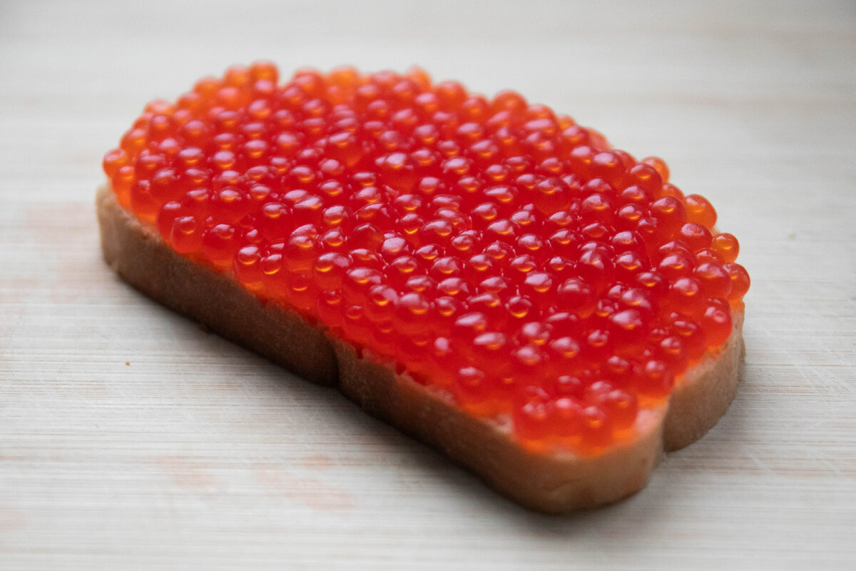 Фото: Pogiba Alexandra/news.ru/Globallookpress 