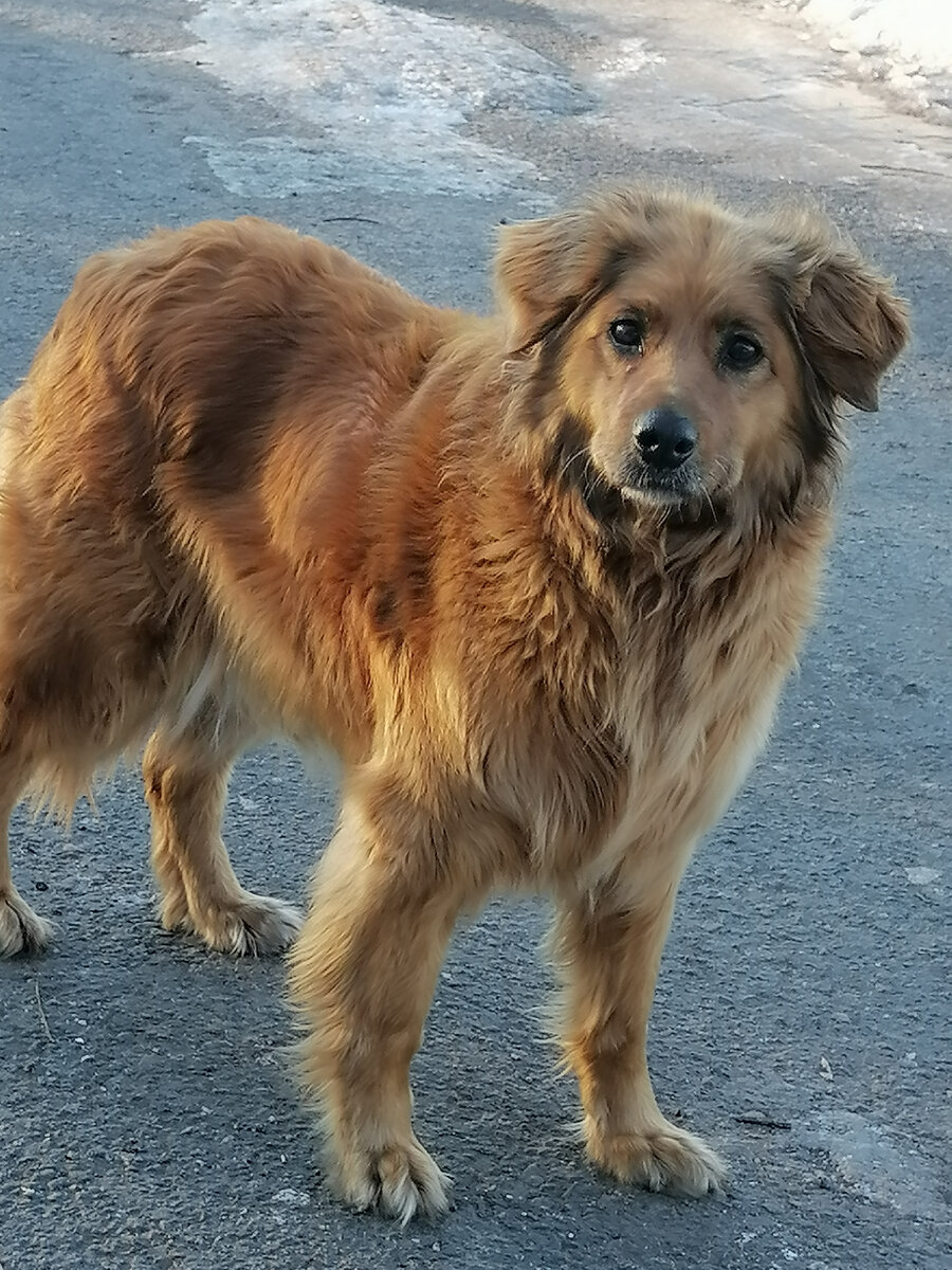 Герда, 2022 год