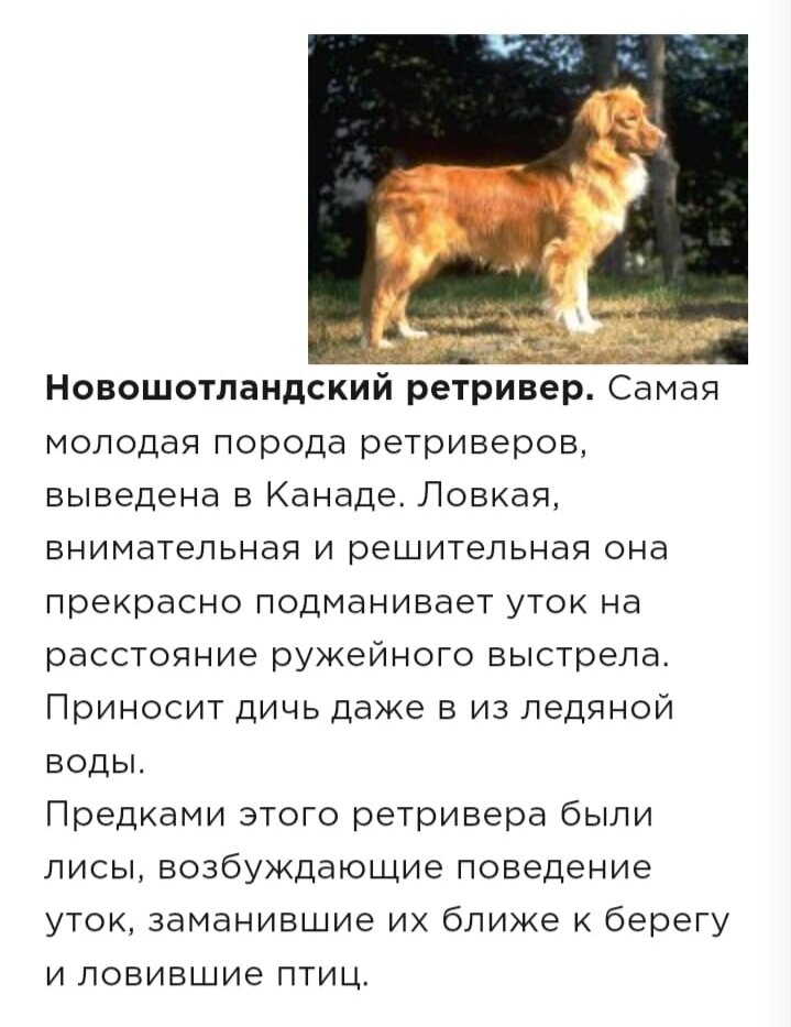 Скрин из интернета