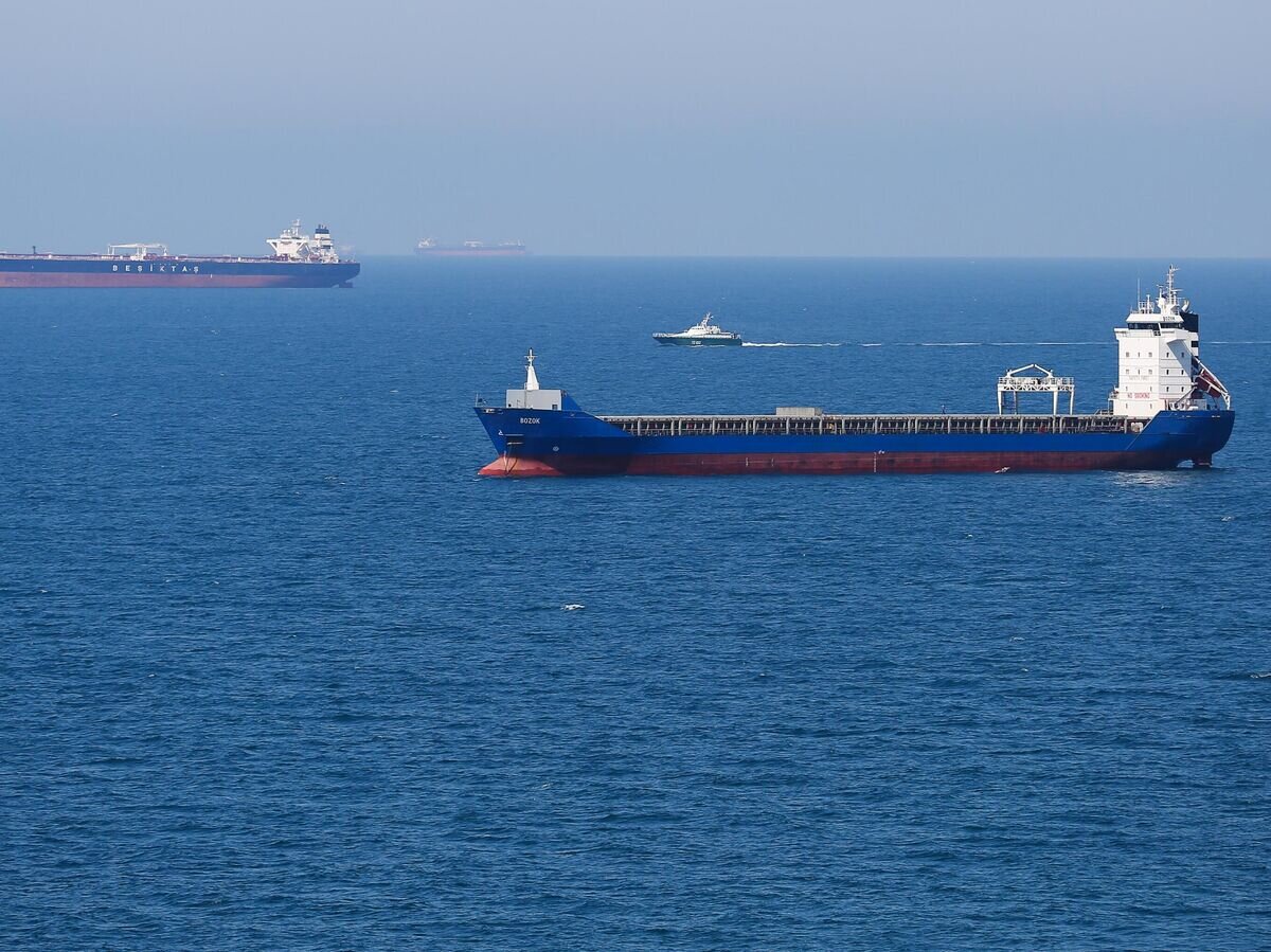    Нефтяные танкеры на рейде в Цемесской бухте© РИА Новости / Виталий Тимкив