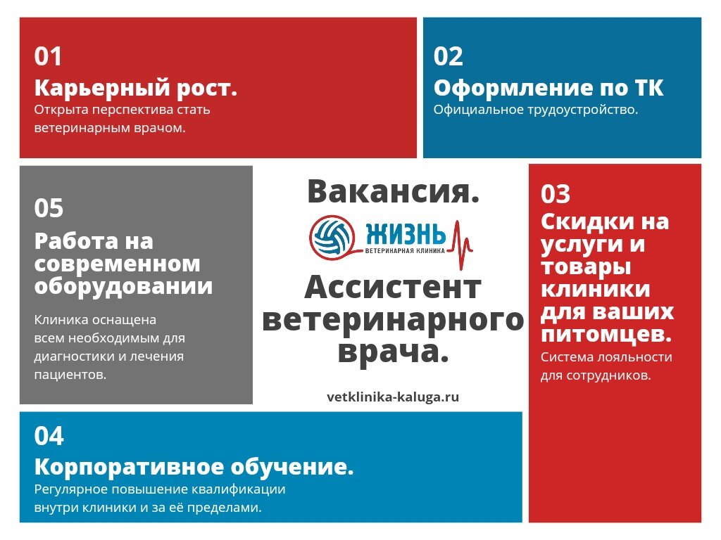 Вакансия: ассистент ветеринарного врача в Калуге. | Ветклиника в Калуге -  Жизнь | Дзен