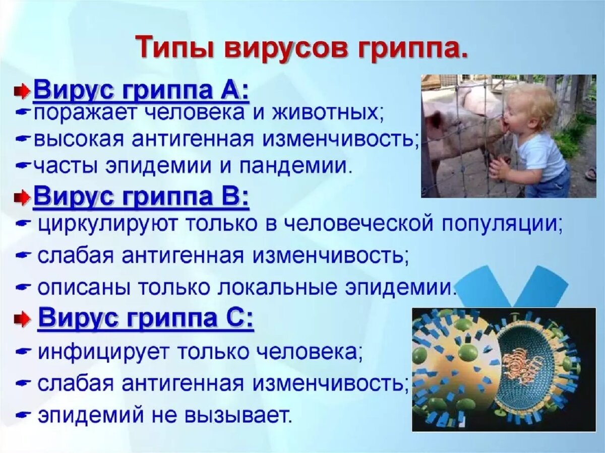 Типы гриппа а в с таблица