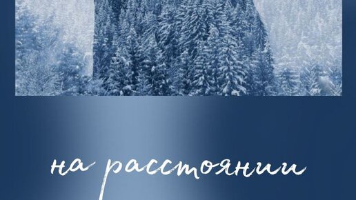 Общаемся на расстоянии🥰 Таро о Любви и не только ️ Гадание на Таро ...