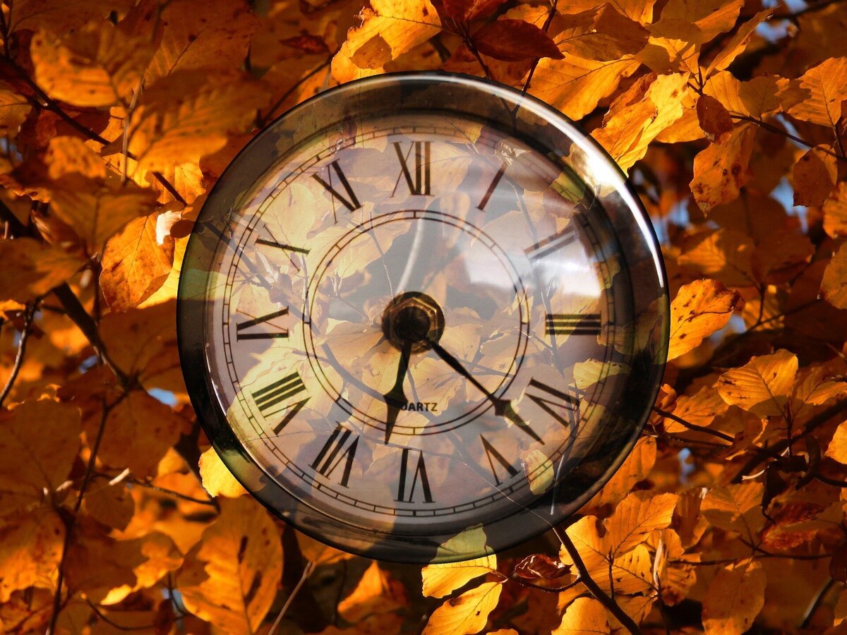    Pixabay