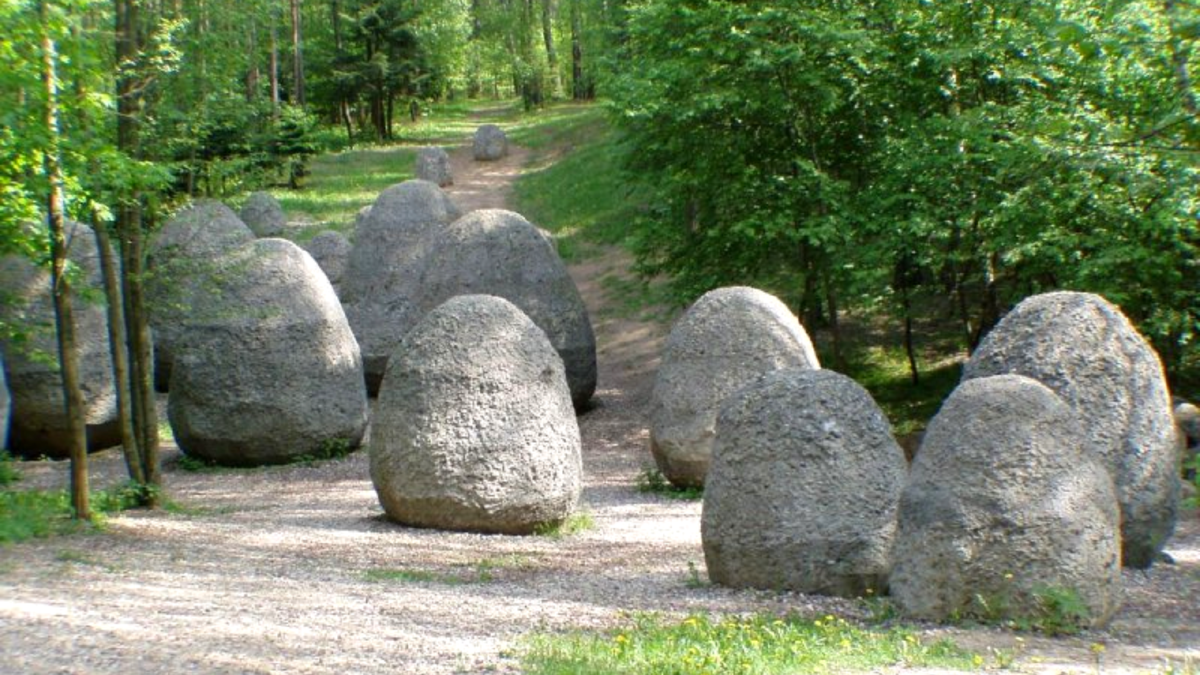 Целая группировка гигантский конкреций "вышла на дорогу"