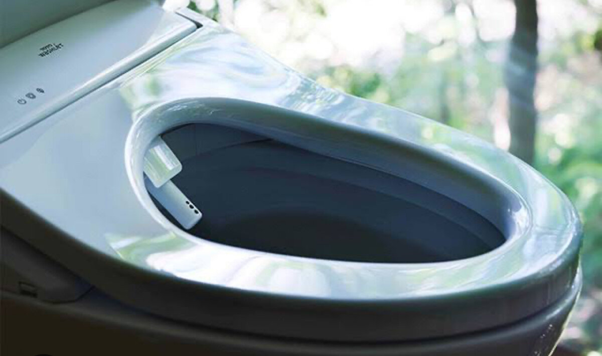 Это изображение нашла в интернете. Сфотографировать процесс не могу, потому что это невозможно, если не использовать сиденье. Washlet умный! Просто нажать кнопку мало, нужно, чтобы туалет чувствовал тебя))