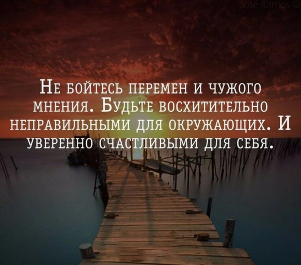 Путешествия по сборникам сканвордов. Подборка номер 3. | КреЙзи-паб Леди  Чайки. | Дзен