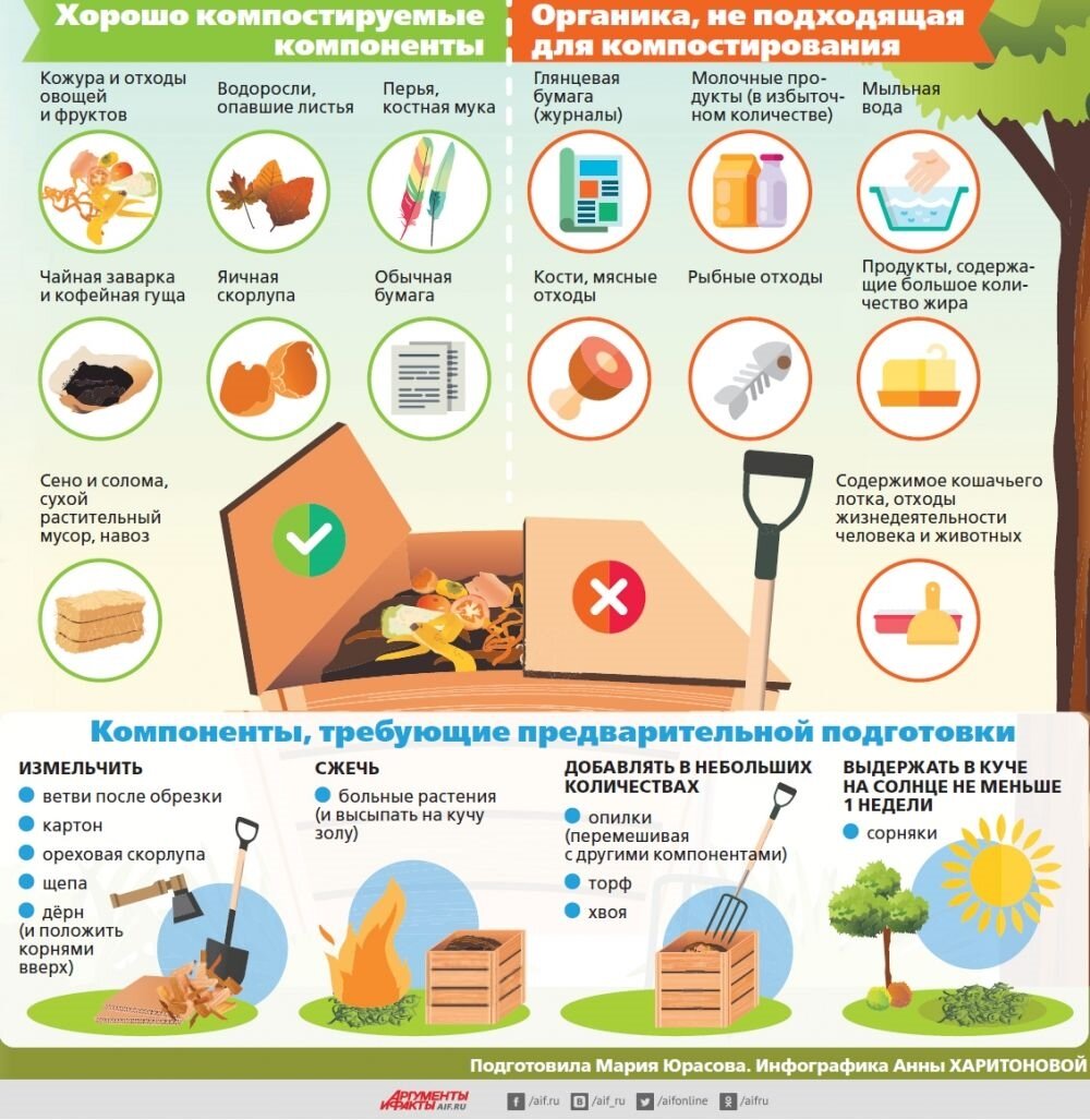 Подготовка огорода к зиме: полезные советы и рекомендации