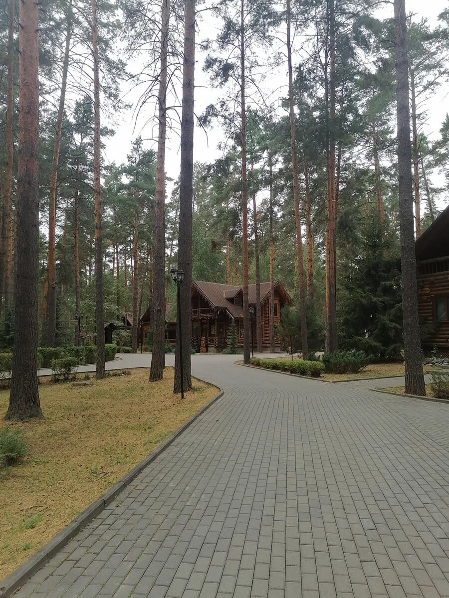 Территория отеля ухожена и красива