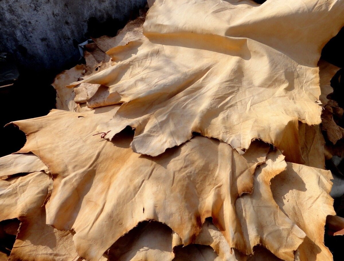 дубленая кожа. кожевенное сырье. изготовитель кожаных изделий. дубление шкур. гольевой спилок.