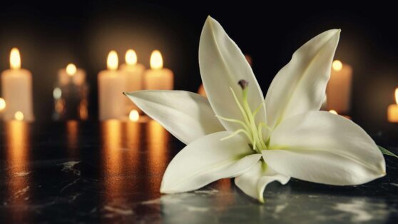    Число жертв взрыва на нефтебазе в Гвинее возросло до 23 Сергей Бунеев