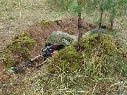 Из свободных источников.