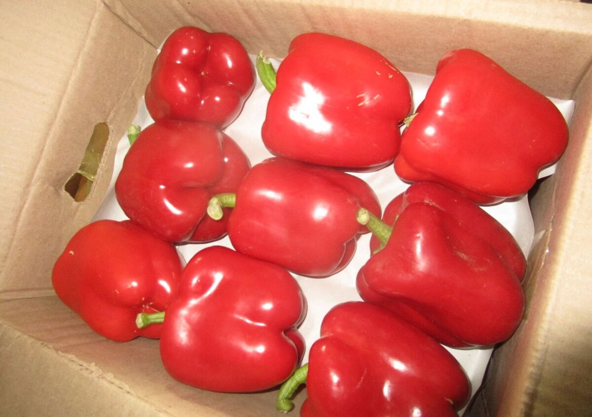  📷    Через Оренбуржье в страну пытались незаконно провезти более 195 тонн овощей и фруктов Кристина Просвиркина