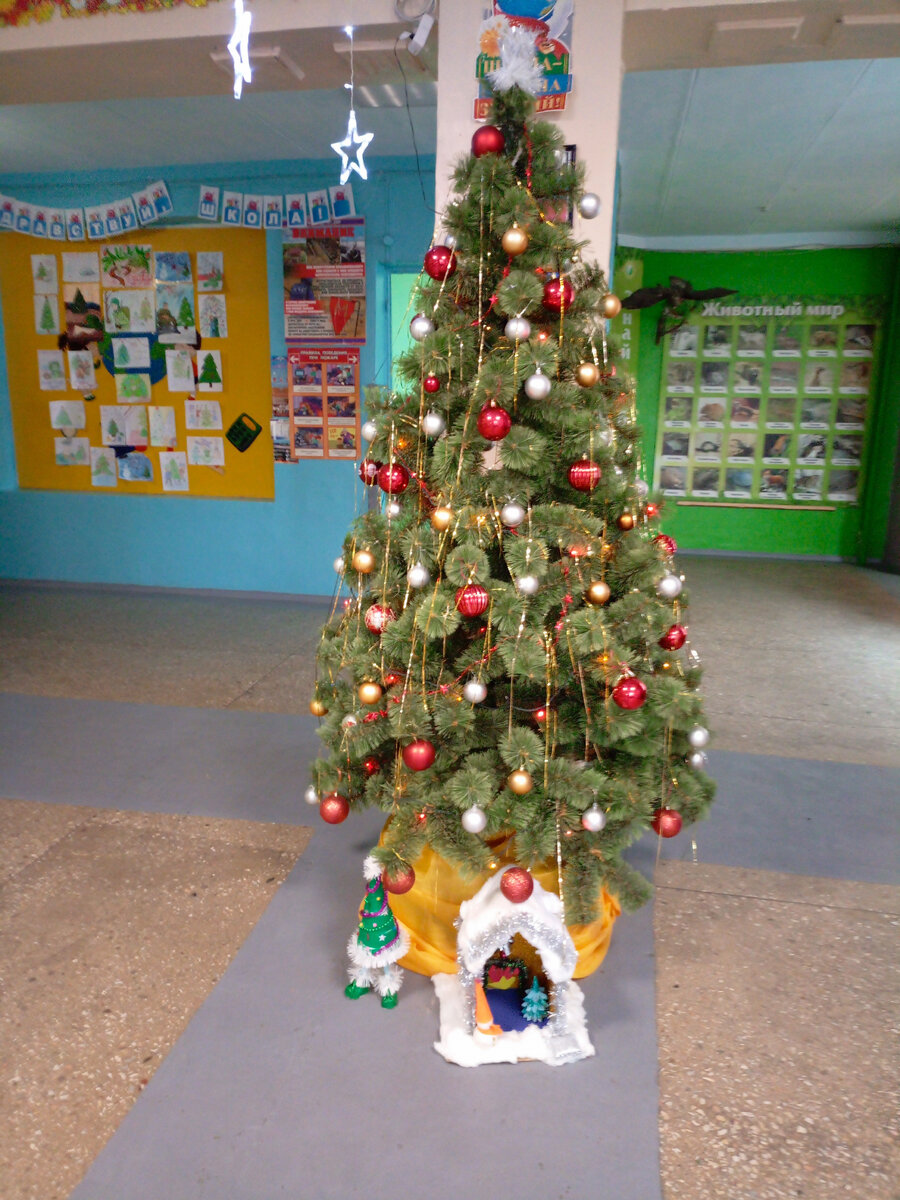 В школе родилась ёлочка))