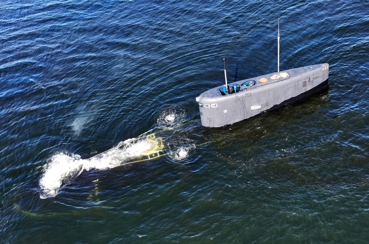     Большая океанская подводная лодка проекта 877 «Палтус» Б-800 «Калуга» / РИА Новости / Павел Львов