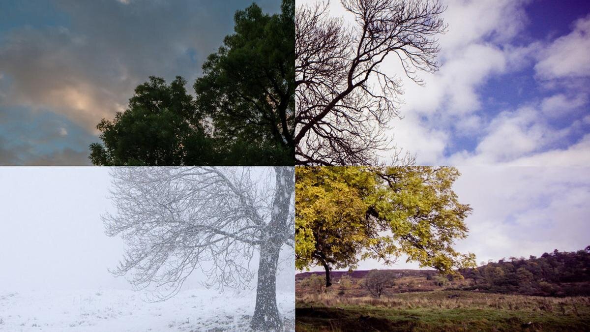    Четыре времени года:Flickr/Scottish Dream Photography