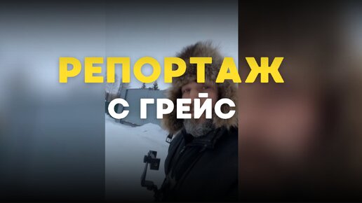 Прогулка с Грейс 🐶 Заваривайте чаёк, готовьте печеньки под интересную беседу 😊