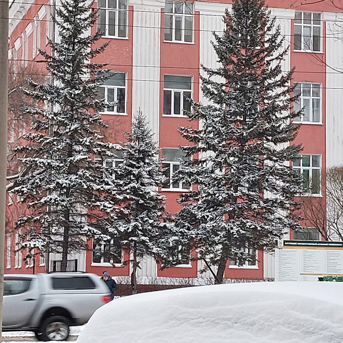 Такой пушистый снег нападал за ночь