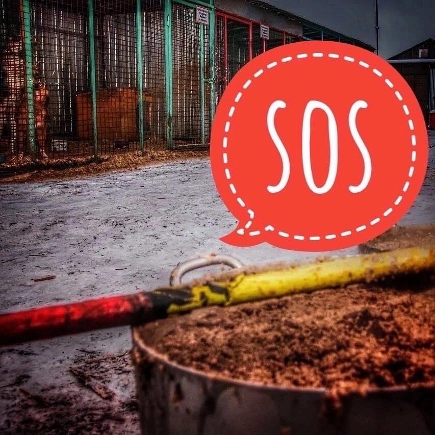 Нам очень нужны крупы и корма, ВСЕ КОНЧАЛОСЬ!