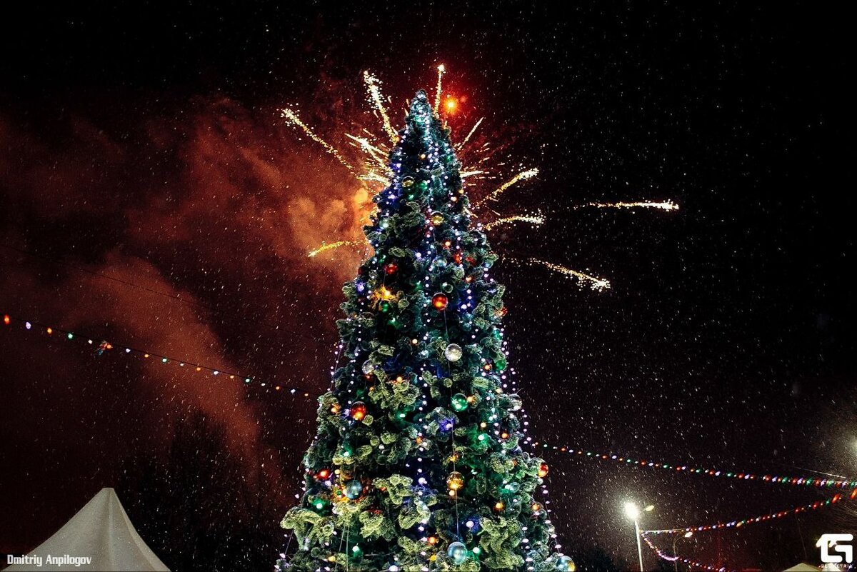    24 декабря парк «Тополя» в Оренбурге приглашает на открытие новогодней елки Марина Шарт