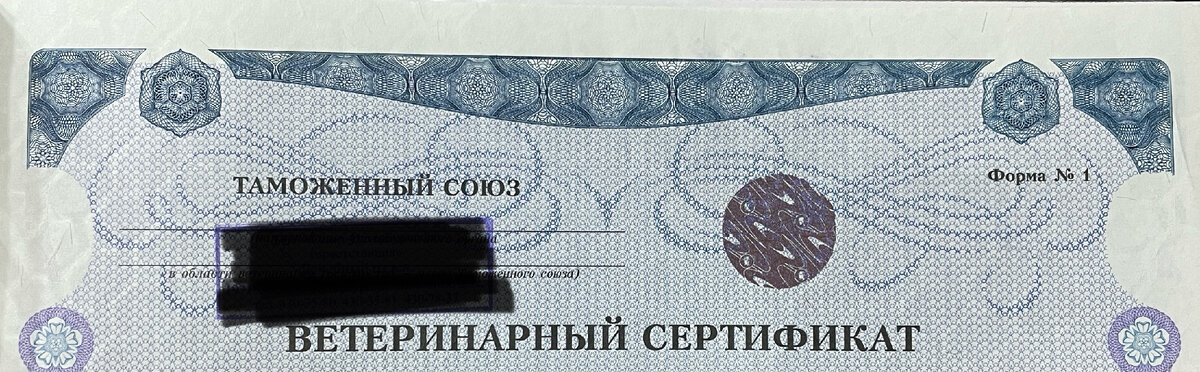 Ветеринарный сертификат Форма №1. По нему кошка приехала из России
