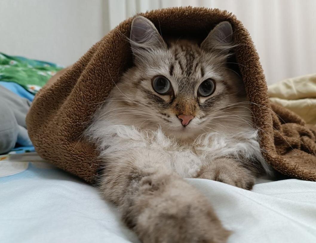 Фото: ИА "Тюменская линия"