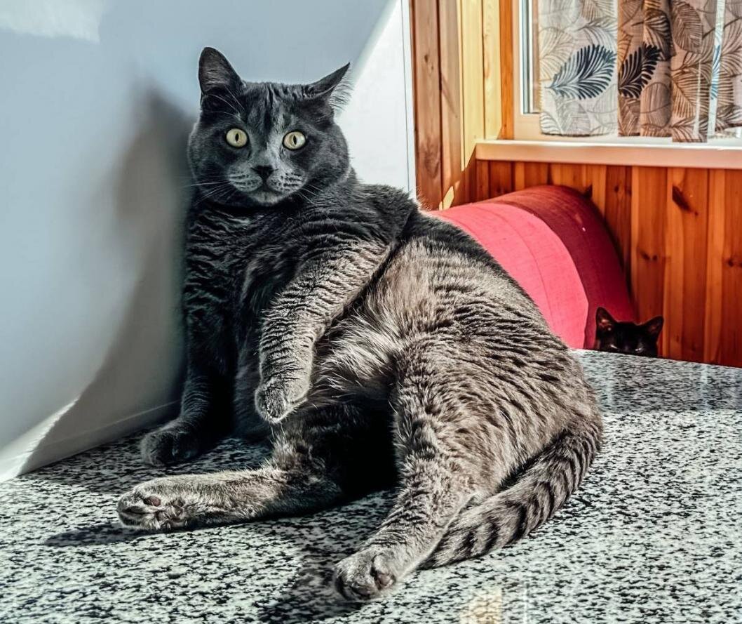 | Фото: ИА "Тюменская линия"