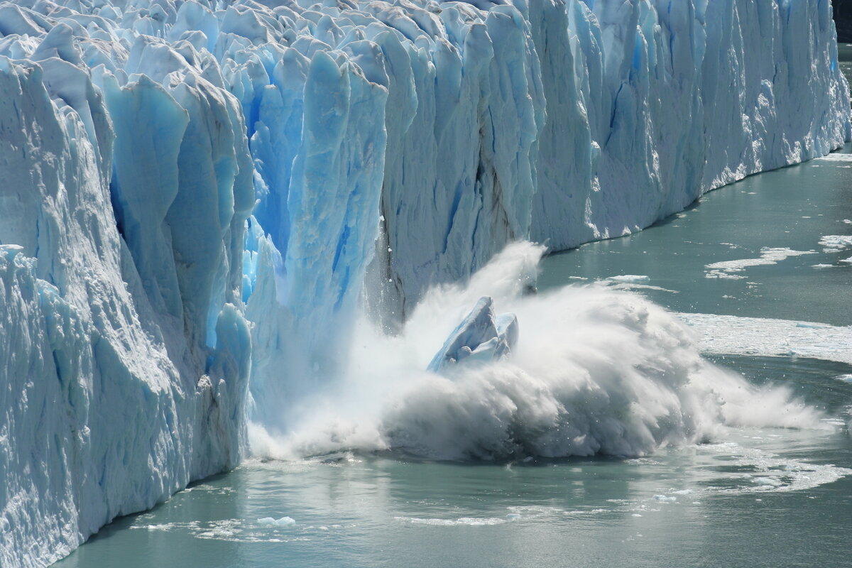    Фото: Shutterstock
