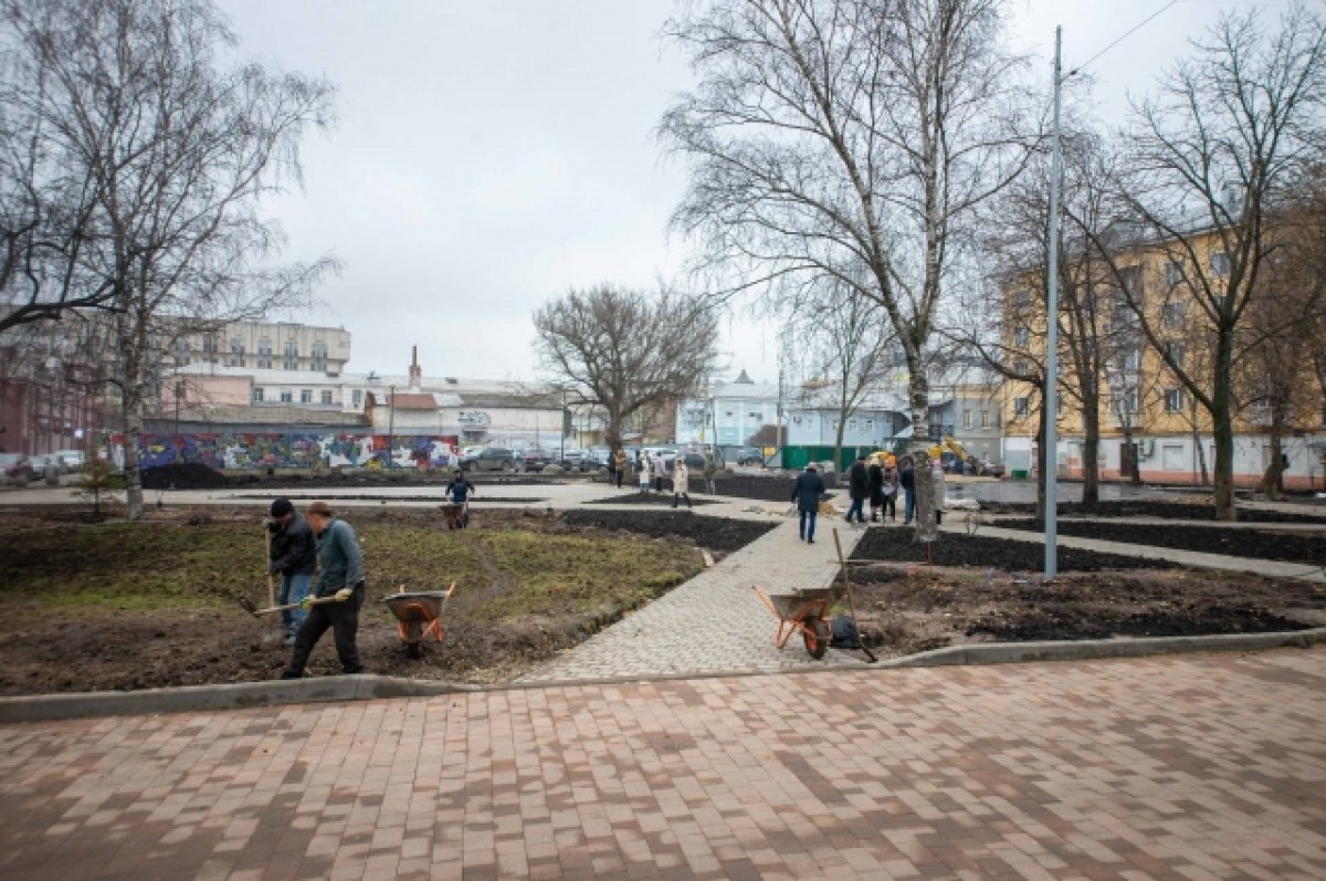    Сквер на Сиреневом бульваре в Пскове начнут благоустраивать в 2024 году