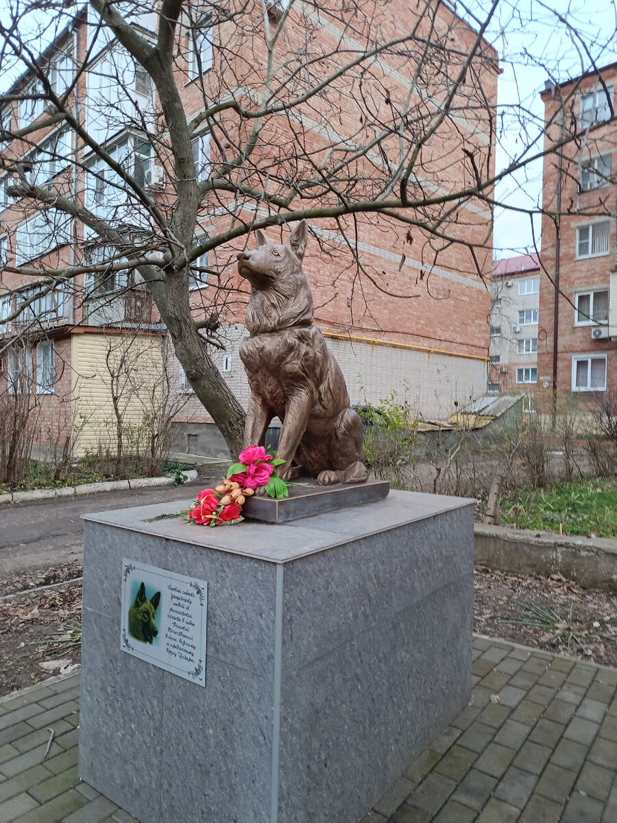 Памятник собаке. Фото автора. 