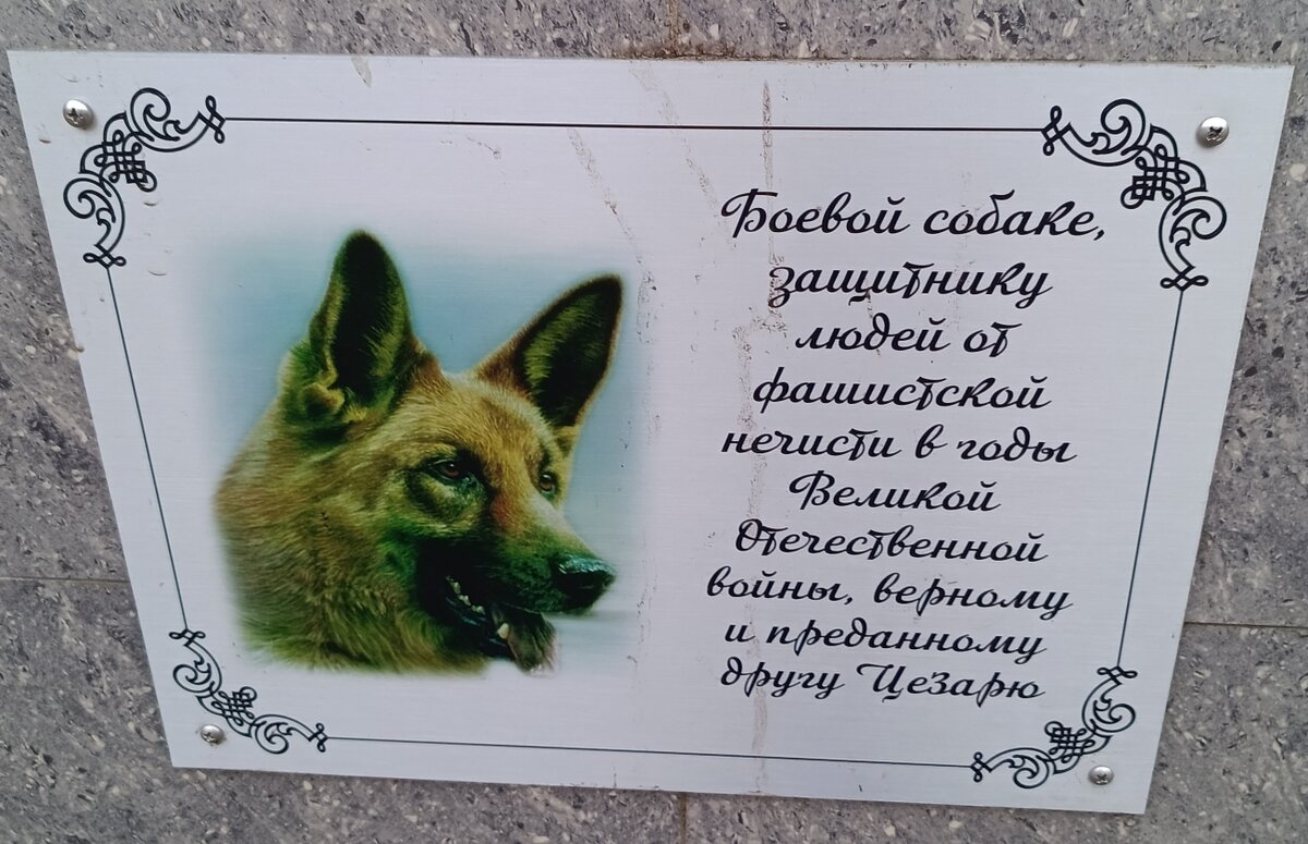 Фото автора. 