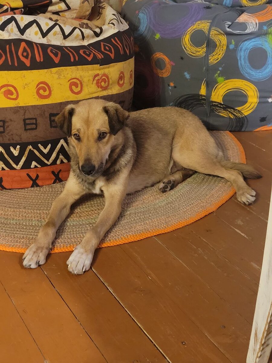 Малыша в доме у сестры