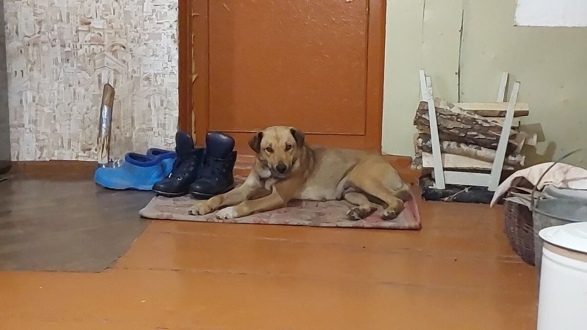 Она же - уже у меня дома.