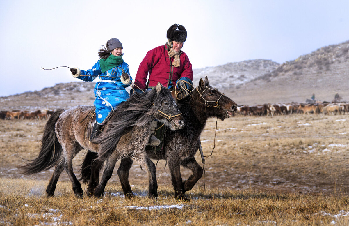 Mongolia Tatlisi