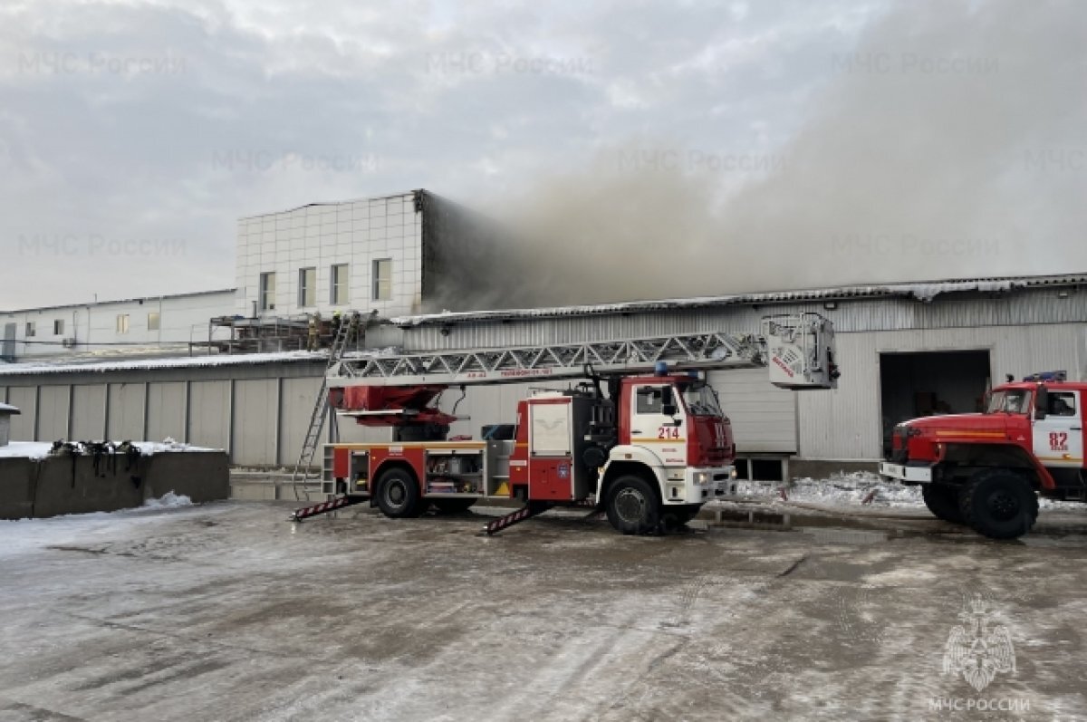    В Химках ликвидировали открытое горение на складе мясокомбината