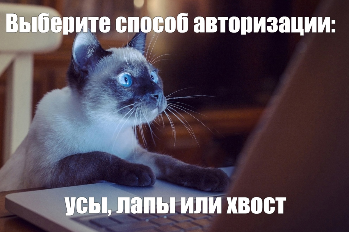 Сим-сим, откройся: все, что вы хотели знать о двухфакторной аутентификации  | Citylink.pro | Дзен