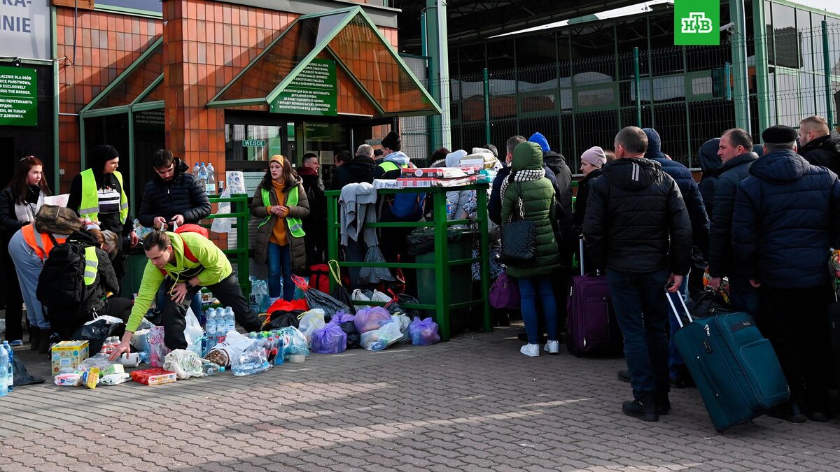    Фото: РИА Новости © 2023, Алексей Витвицкий